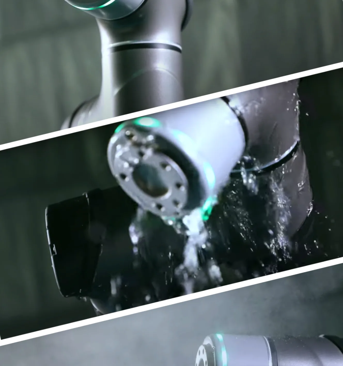 RoggedSolution_detail
